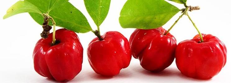 cuatro cerezas acercolas