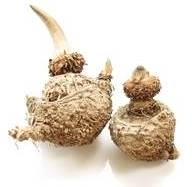 Dos ampolletas de konjac