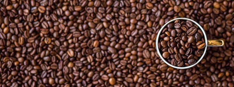 café en grano con taza