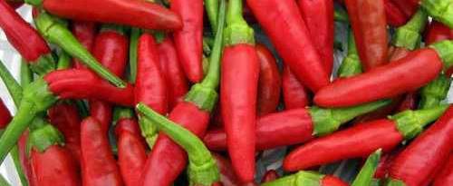 un plato de chillis rojos