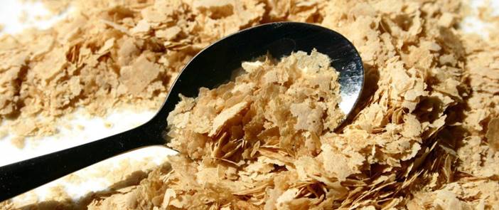 chips de levadura de cerveza con una cuchara