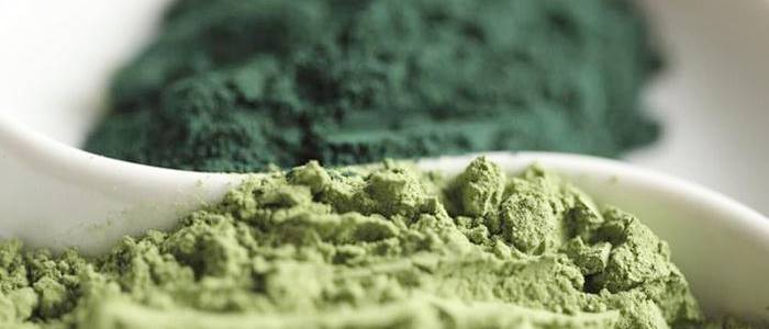 una cucharada de polvo de espirulina