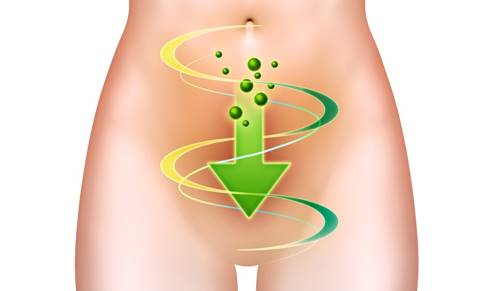efectos sobre la digestión