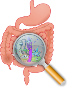 efectos sobre la digestión