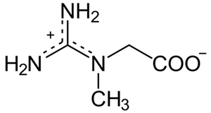 molécula química de creatina