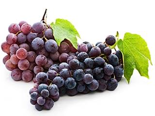 racimo de uvas tintas y negras