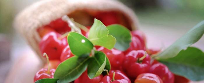 Un plato hecho con acerola cereza.