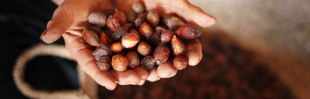 almendras preparadas de plata sostenidas en las manos
