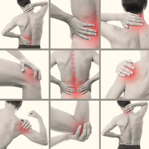 Los diferentes tipos de osteoartritis en imagen.